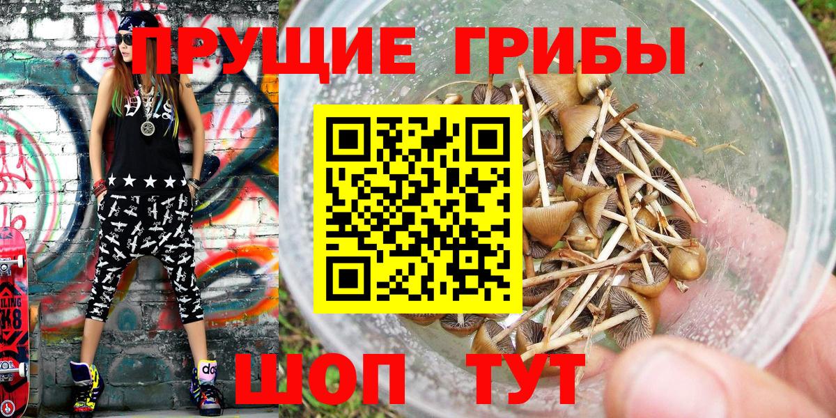 Псилоцибиновые грибы Magic Shrooms  Псилоцибиновые грибы GOLDEN TEACHER  Муравленко  Вход с VPN 